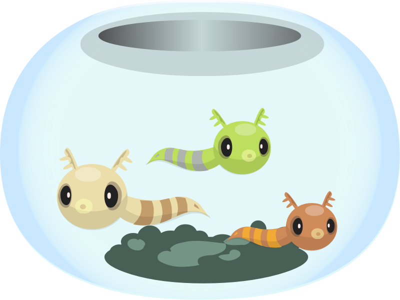 Goldfish Fishbowl Clip Art - Aquarium, HD Png Download PNG with transparent background