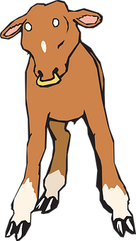 Cartoon Baby Goat Illustration PNG with transparent background