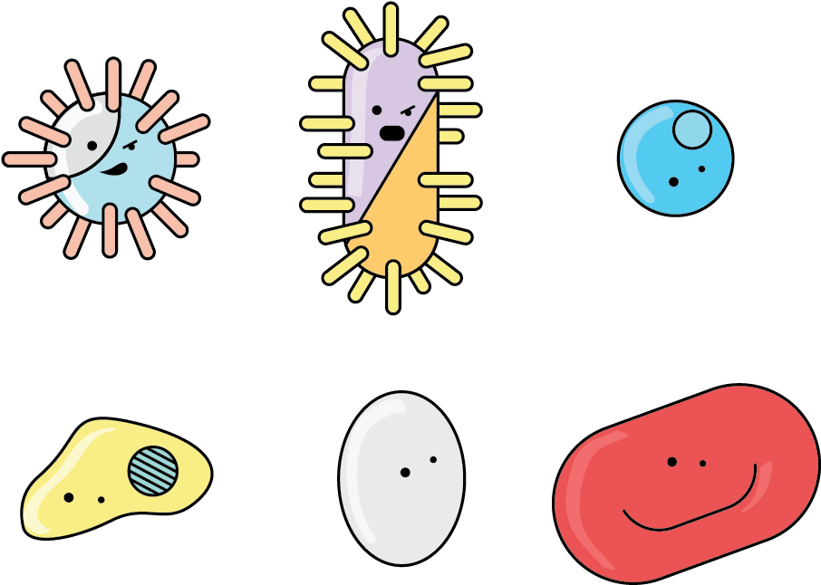 Cartoon Bacteria Characters