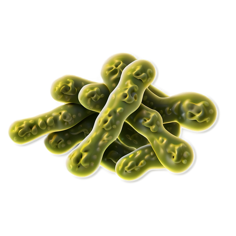 Cartoon Bacteria Png Ocd