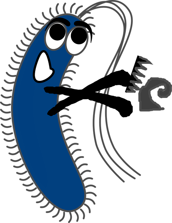 Germ, Virus, Bacteria, Infection, Organism, Illness - Gram Negative Bacteria Cartoon, HD Png Download PNG with transparent background