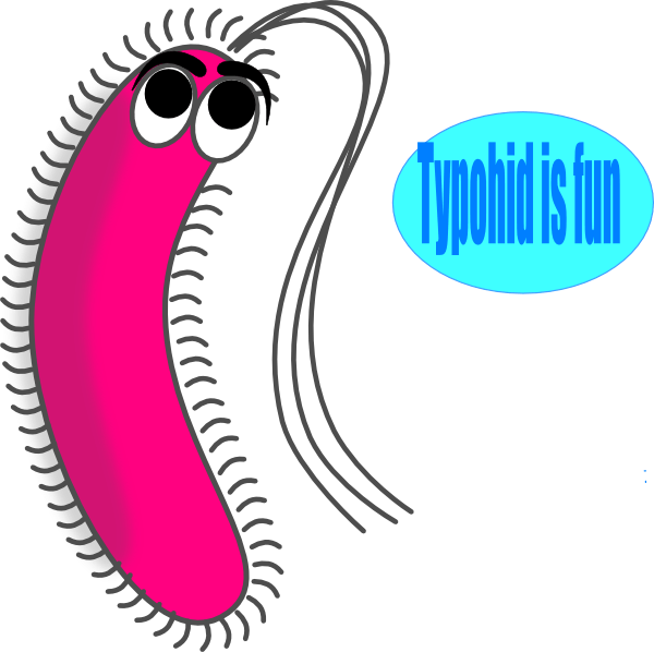 Funny Germs Cliparts - Gram Negative Bacteria Cartoon, HD Png Download PNG with transparent background