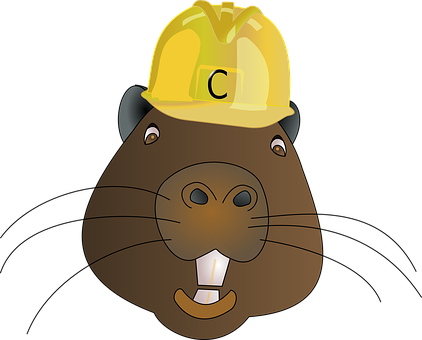 Cartoon Beaverin Hard Hat