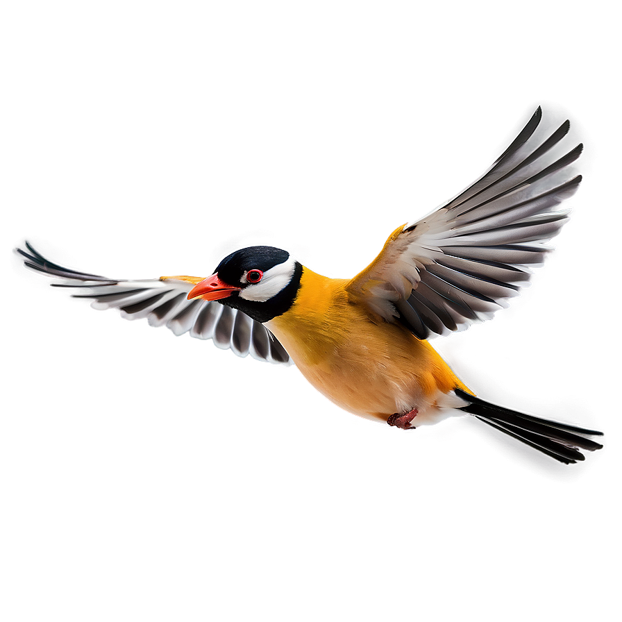 Cartoon Bird Flying Png 37