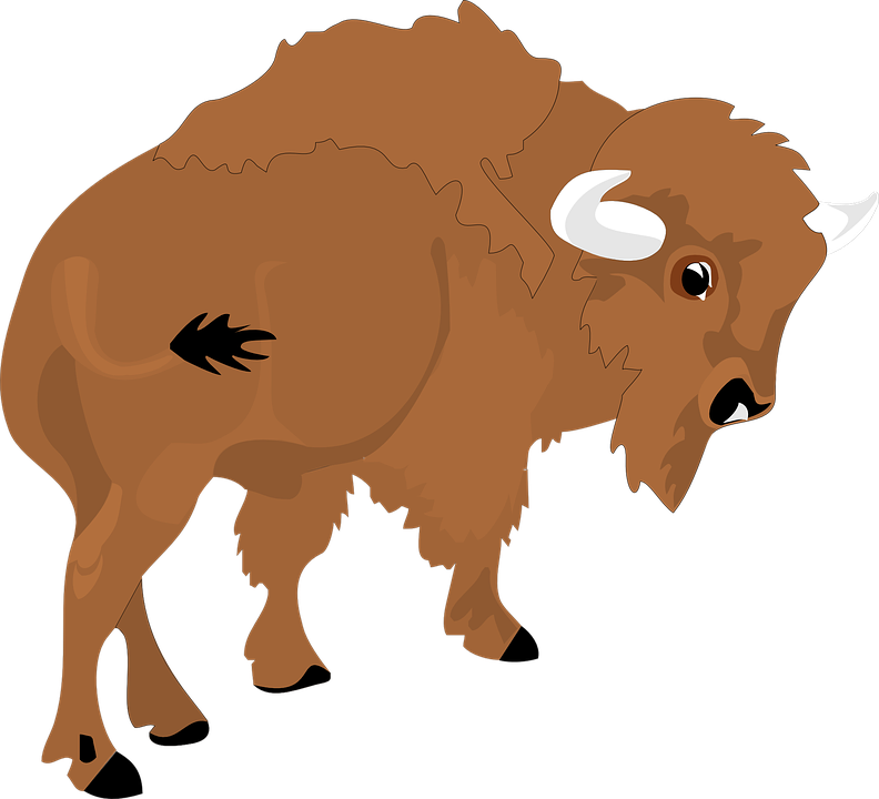 Cartoon Bison Illustration