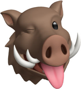 Cartoon Boar Head Graphic