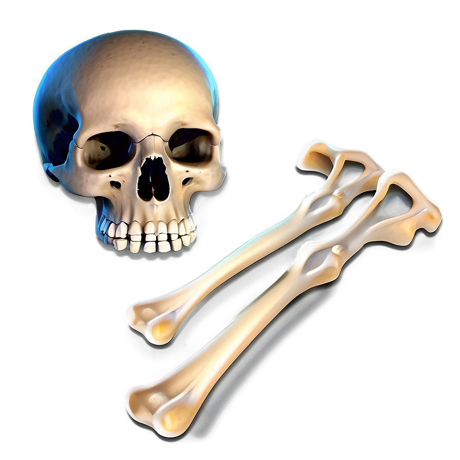 Cartoon Bones Png 05242024