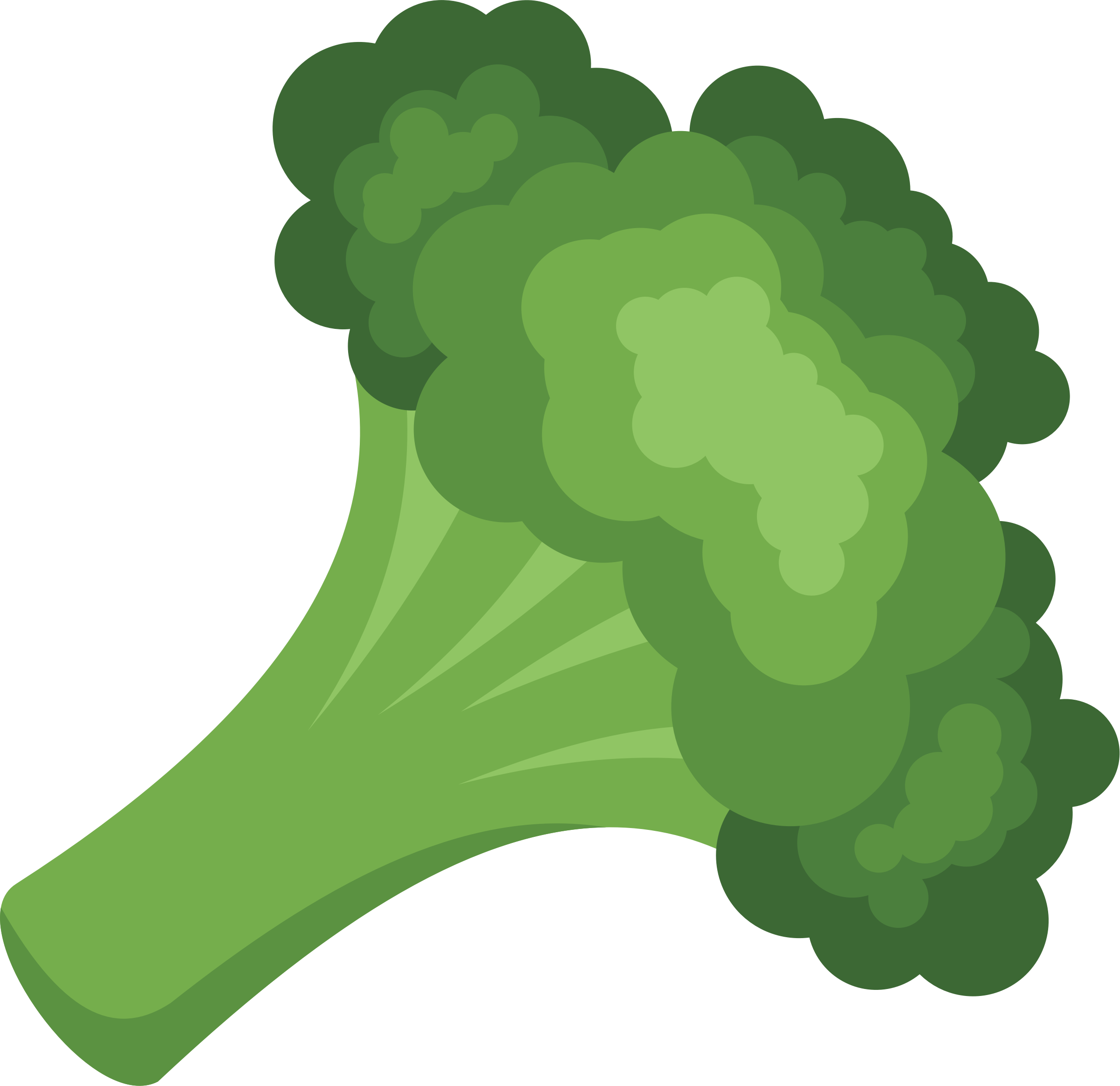 Cartoon Broccoli Graphic