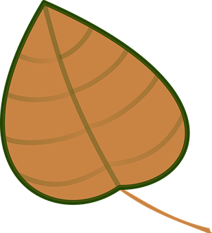 Cartoon Brown Leaf Graphic PNG with transparent background