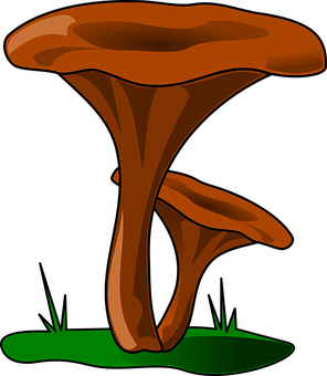 Cartoon Brown Mushroom Vector PNG with transparent background