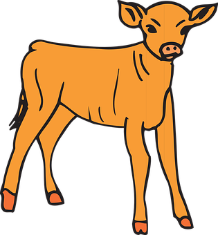 Cartoon Calf Illustration.png PNG with transparent background
