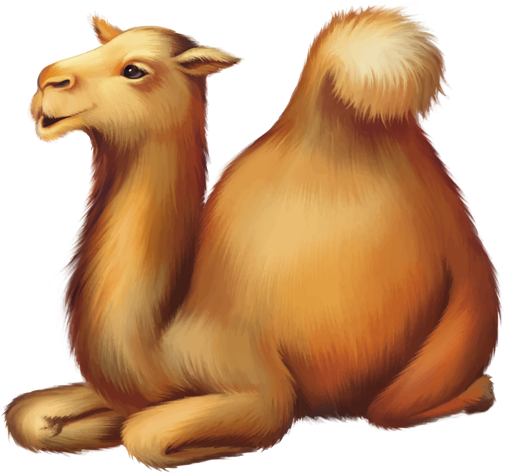 Cartoon Camel Images Png, Transparent Png PNG with transparent background