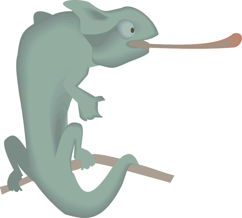 Cartoon Lizard With Long Tongue, HD Png Download PNG with transparent background