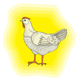 Cartoon Chicken Illustration PNG with transparent background