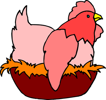 Cartoon Chicken Illustration PNG with transparent background