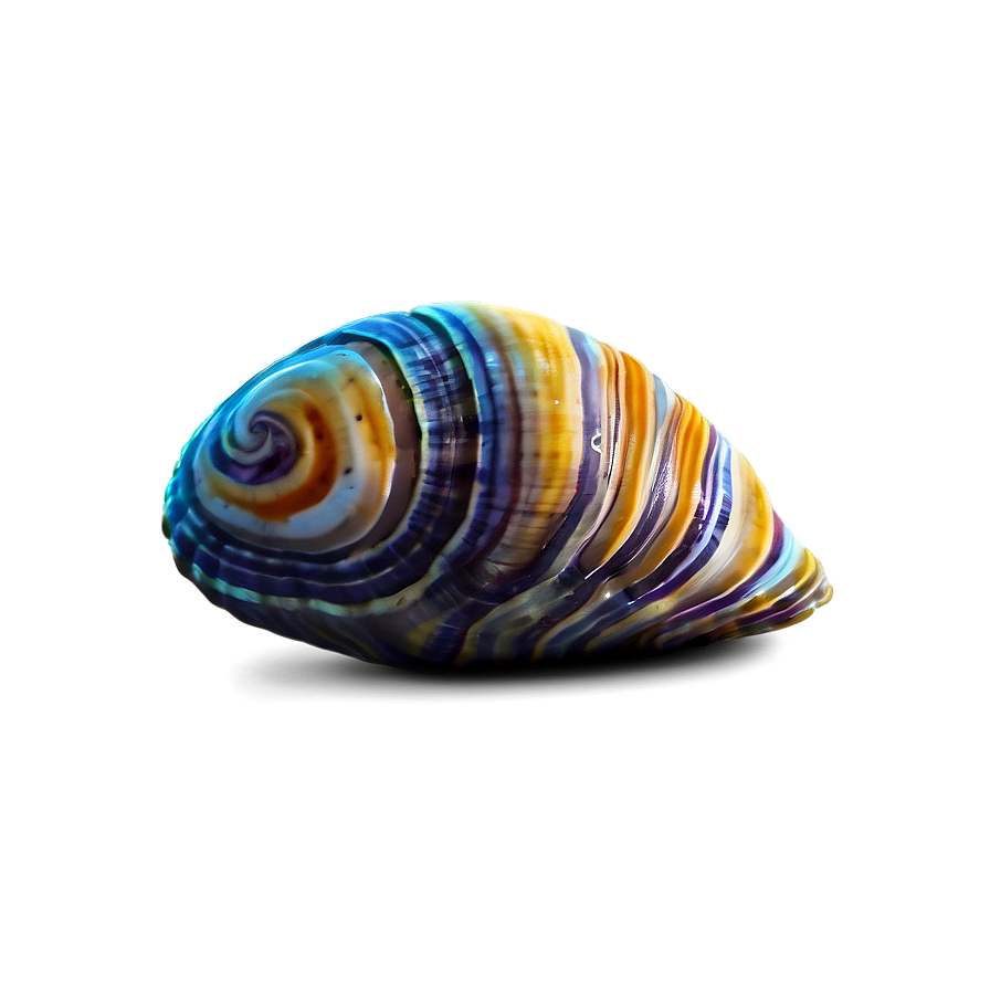 Cartoon Clam PNG rsp52 PNG with transparent background