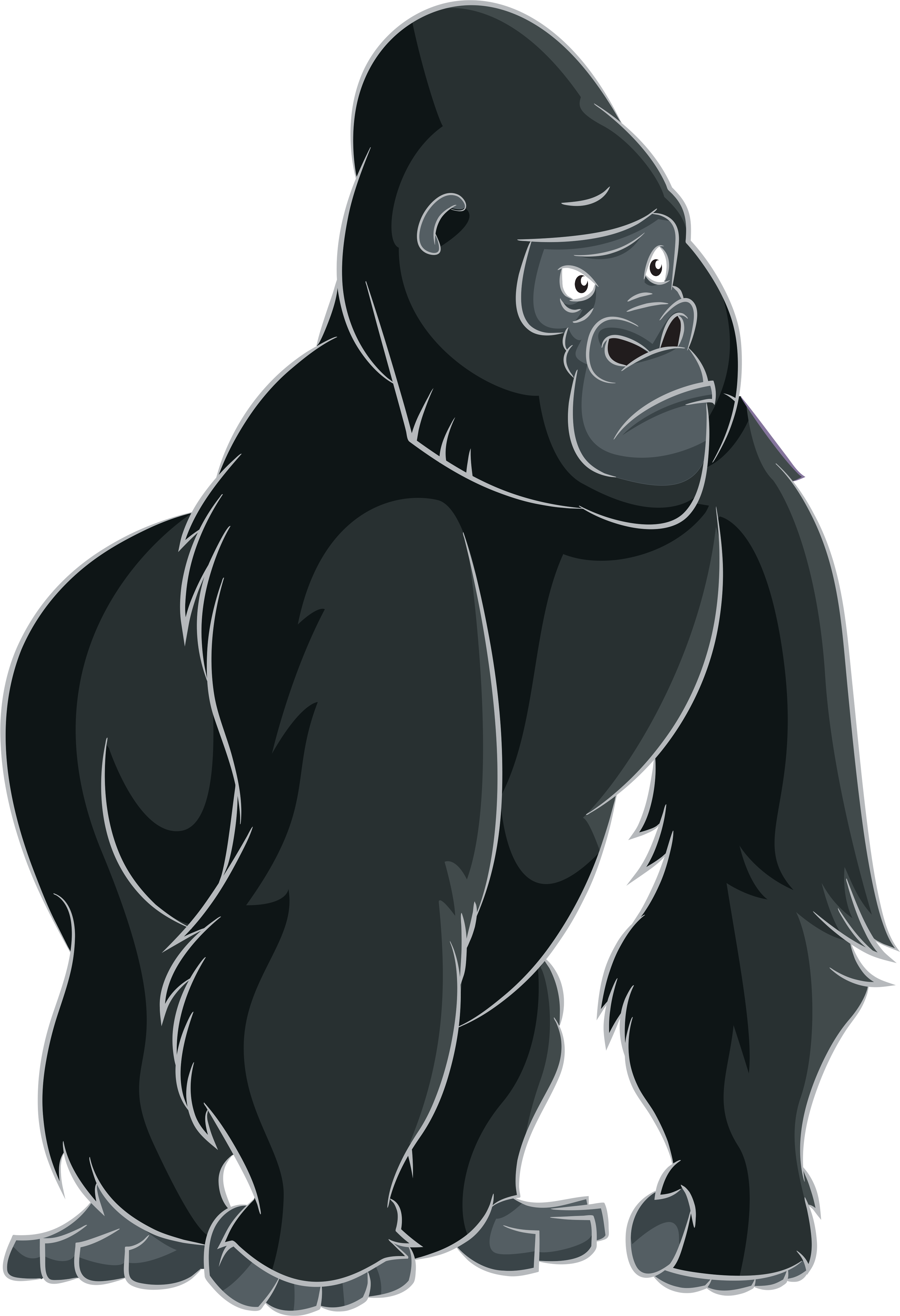 Cartoon Clip Art Png - Gorilla Clipart Png, Transparent Png PNG with transparent background