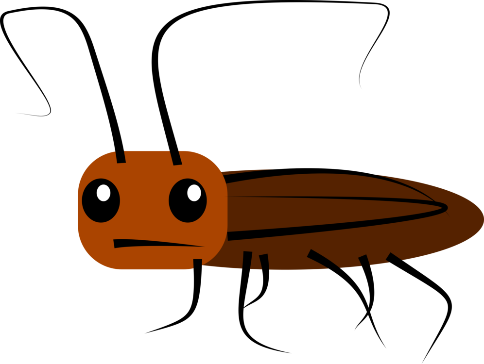 Cartoon Cockroach Illustration PNG image with a transparent background, free high-resolution download