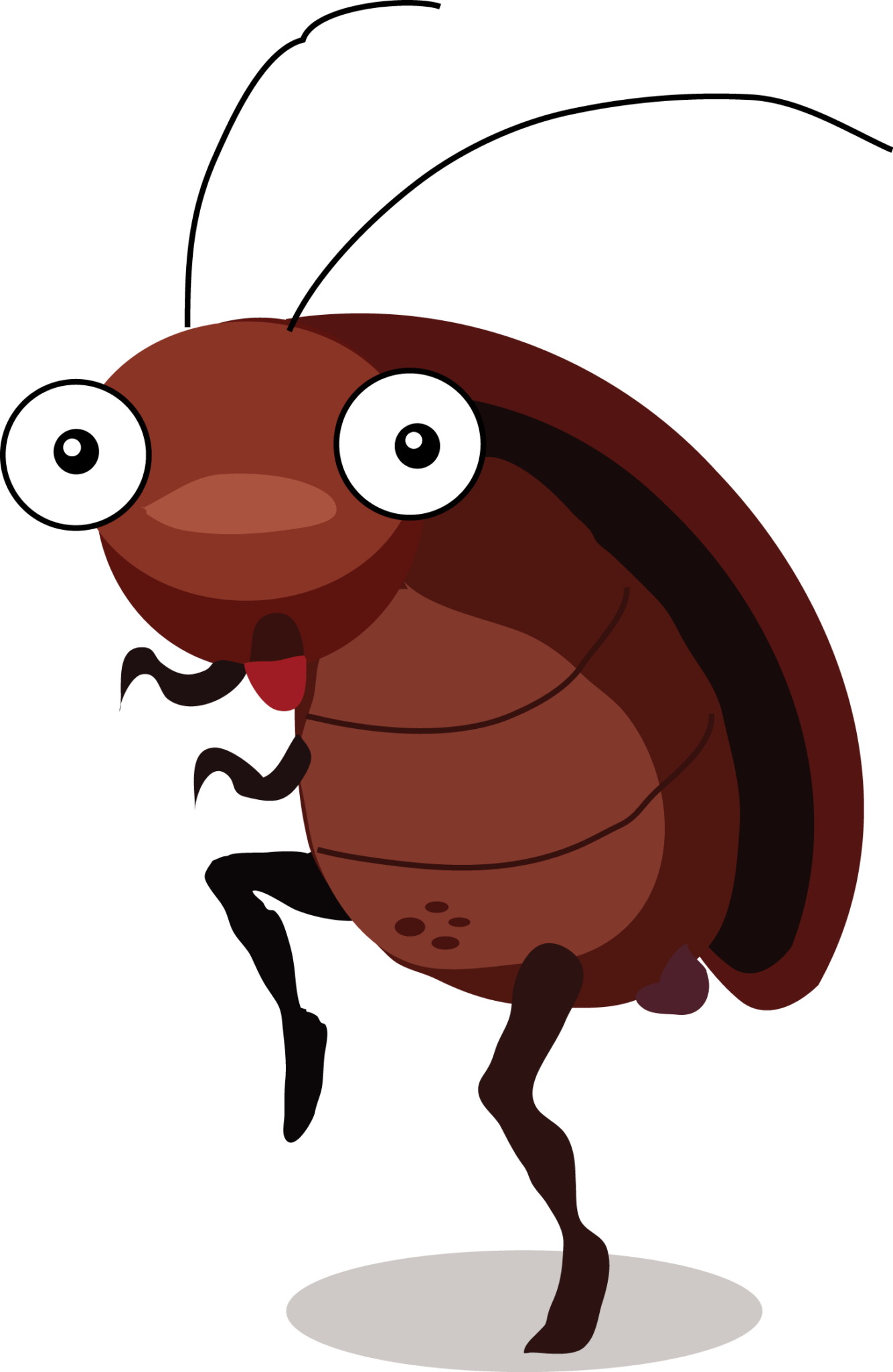 Cartoon Cockroach Standing PNG image with a transparent background, free high-resolution download