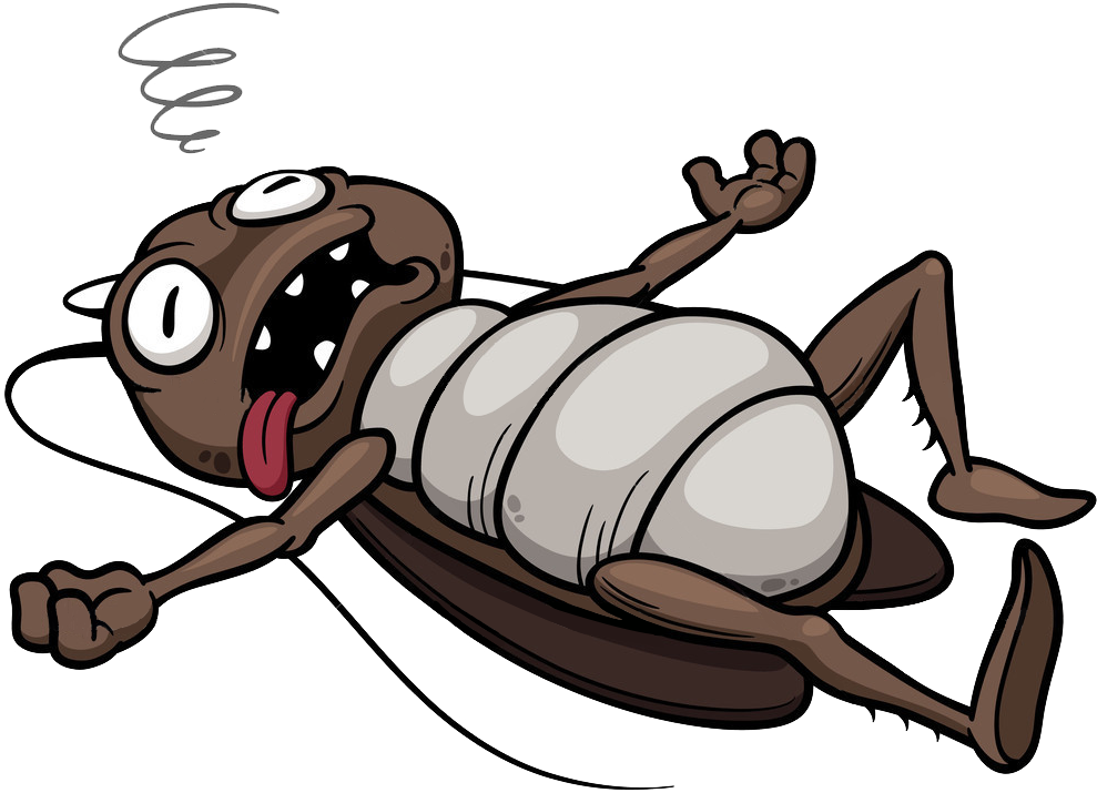 Cartoon Cockroachon Back PNG image with a transparent background, free high-resolution download