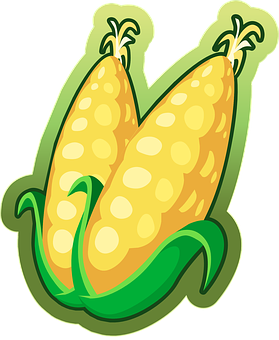 Cartoon Corn Ears Sticker PNG with transparent background