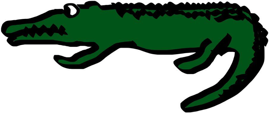 Crocodile, Alligator, Cartoon, Biscayne National Park - Crocodiles, HD Png Download PNG with transparent background