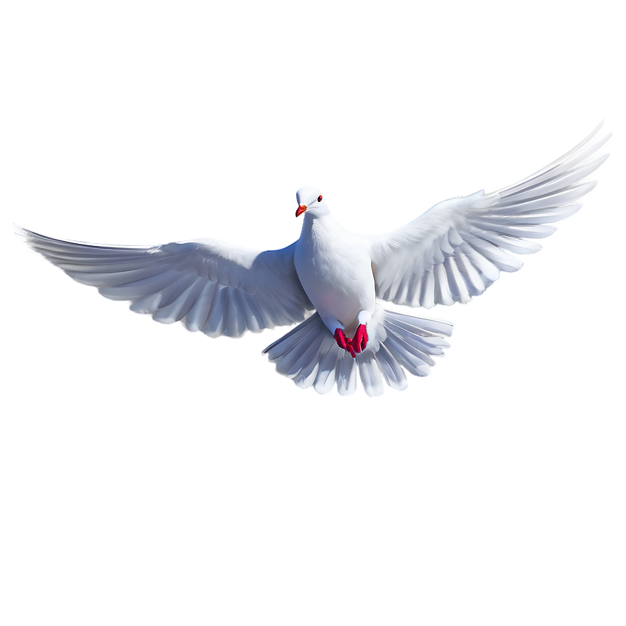 Cartoon Dove Png 05042024