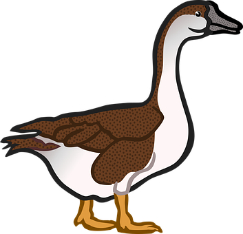 Cartoon Duck Illustration