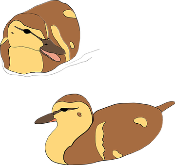 Cartoon Ducks Resting PNG with transparent background