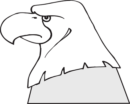 Cartoon_ Eagle_ Profile_ Vector PNG with transparent background