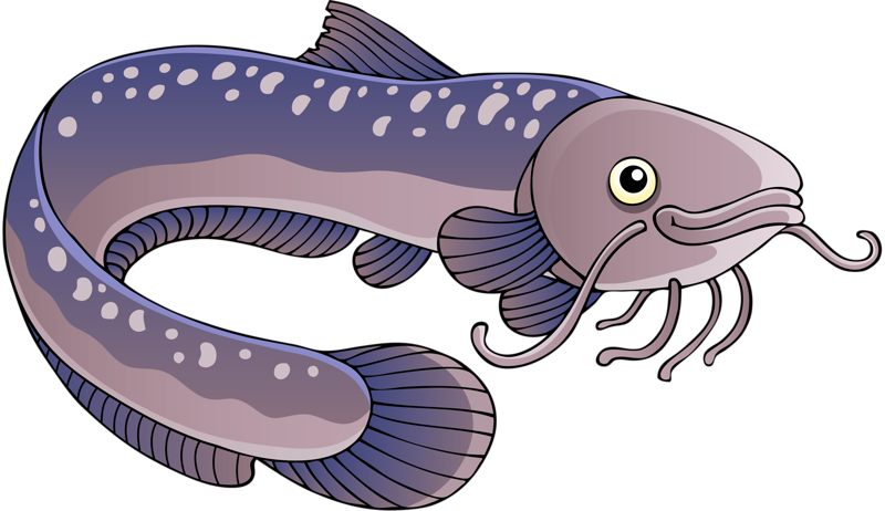 Cartoon Eel Illustration