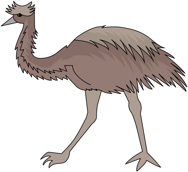 Cartoon Emu Illustration