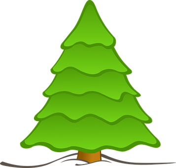 Cartoon Evergreen Tree Graphic PNG with transparent background
