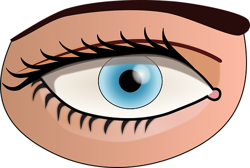 Cartoon Eye Illustration PNG with transparent background