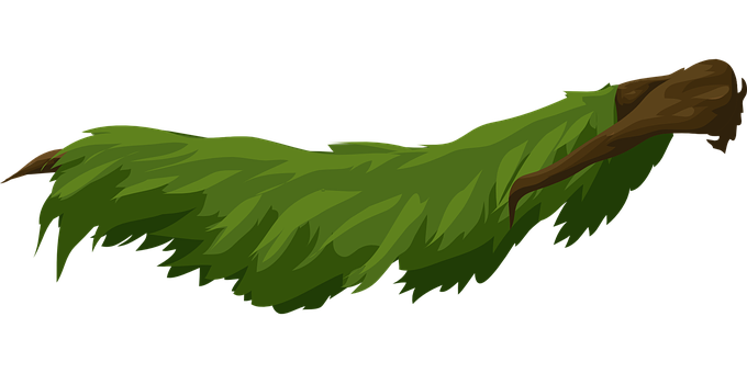Cartoon Fallen Tree Branch PNG with transparent background