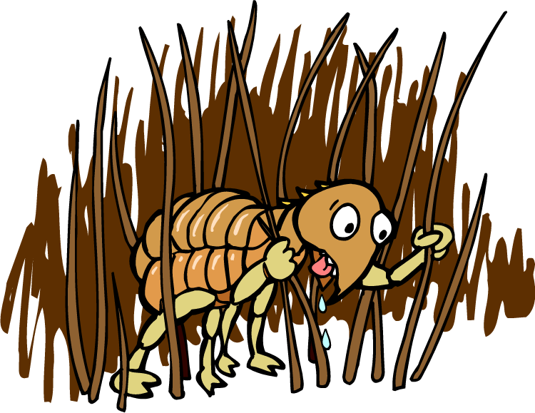 Cartoon Flea In Grass