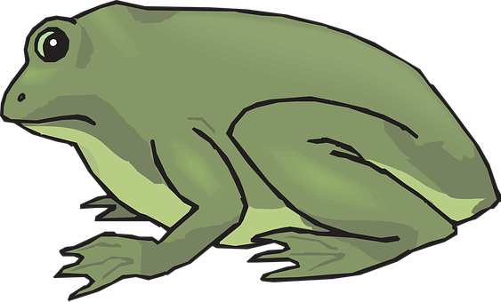 Cartoon Frog Side View Illustration PNG with transparent background