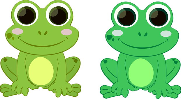 Cartoon Frogs Sideby Side PNG with transparent background