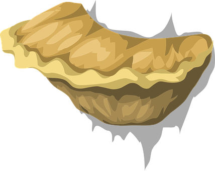 Cartoon Fungus Illustration PNG image with a transparent background, free high-resolution download
