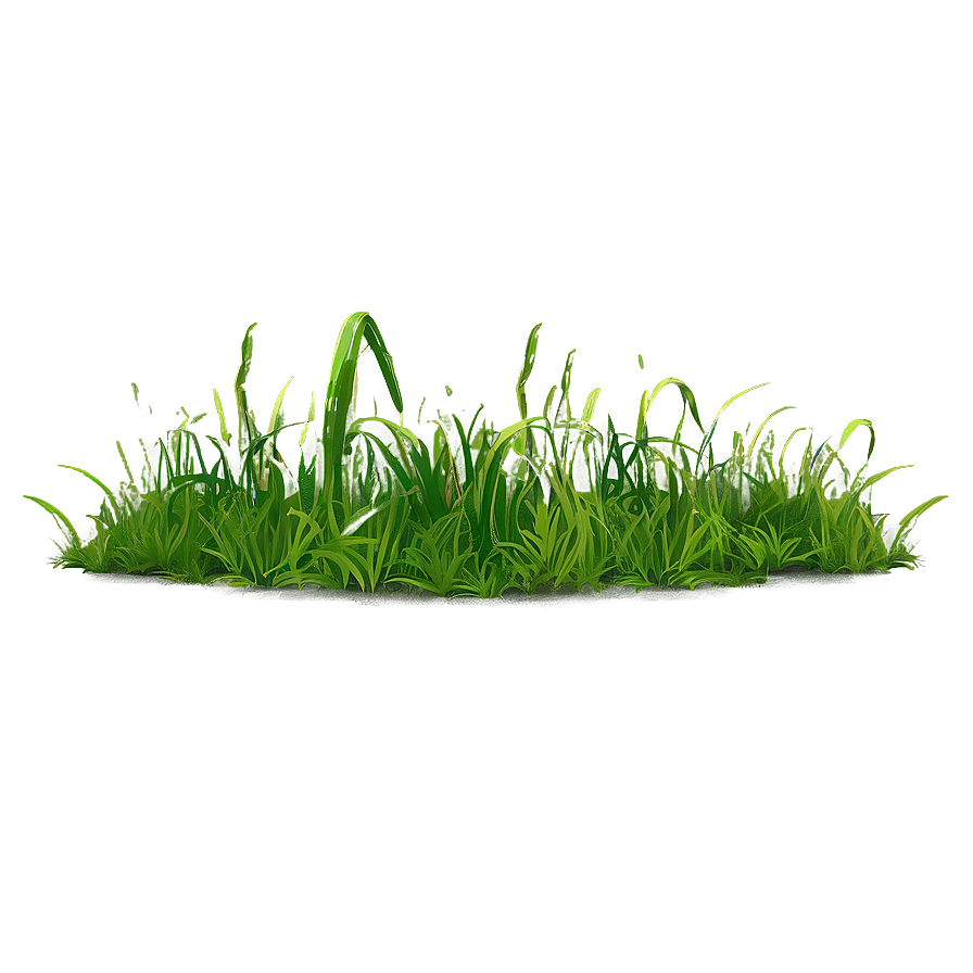 Cartoon Grass Field Png 06122024