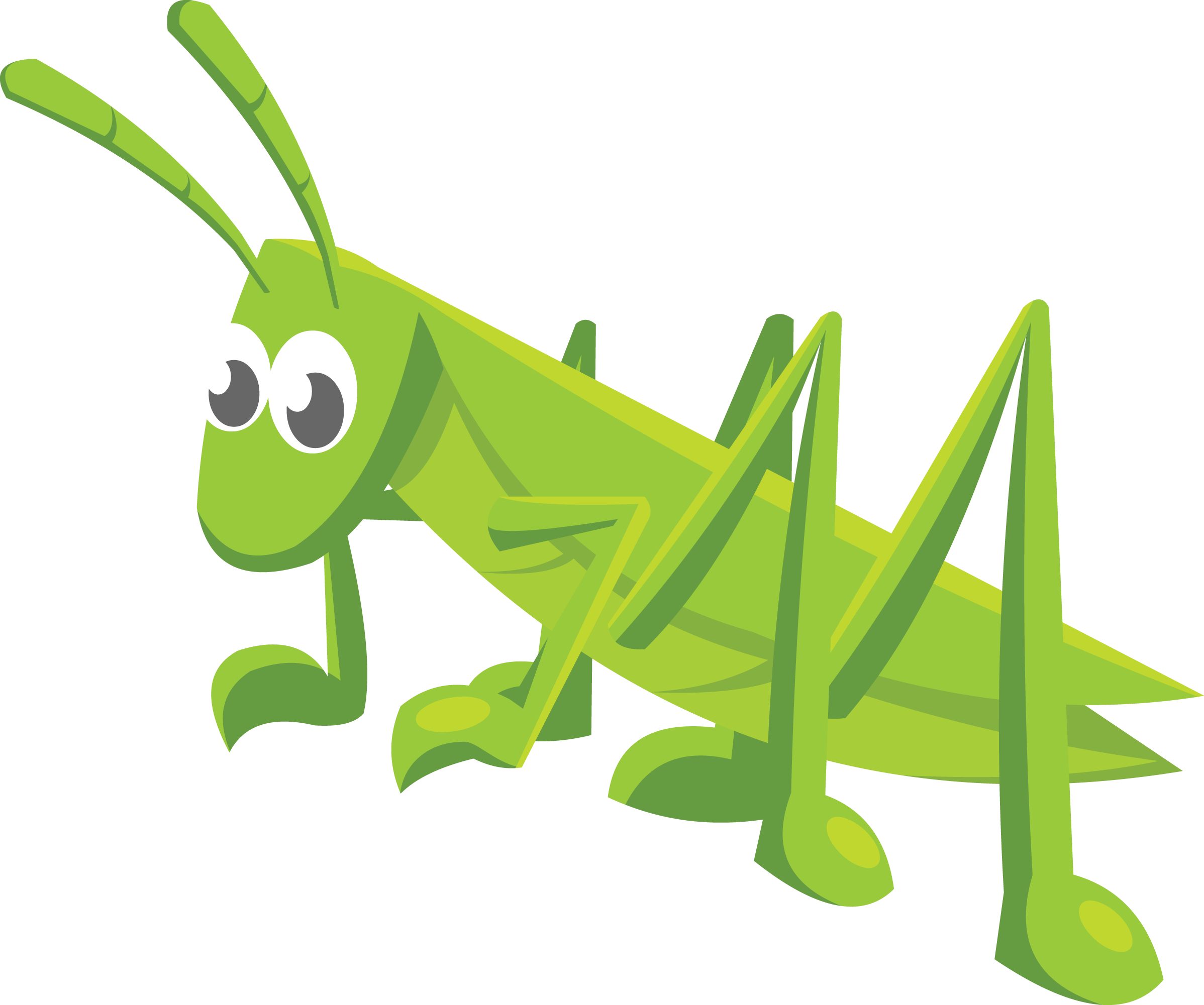 Cartoon Grasshopper Illustration.png