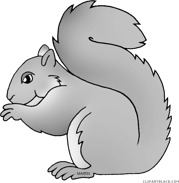 Cartoon_ Gray_ Squirrel_ Illustration.png