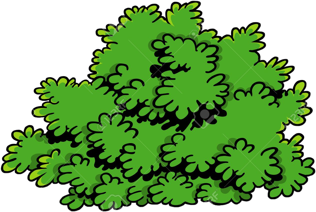 Transparent Shrub Clipart - Cartoon Bush Plant, HD Png Download PNG with transparent background