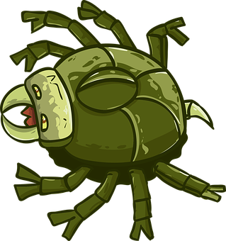 Cartoon Green Spider PNG with transparent background