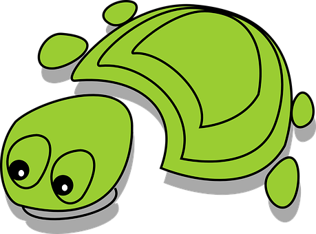 Cartoon Green Turtle Graphic PNG with transparent background