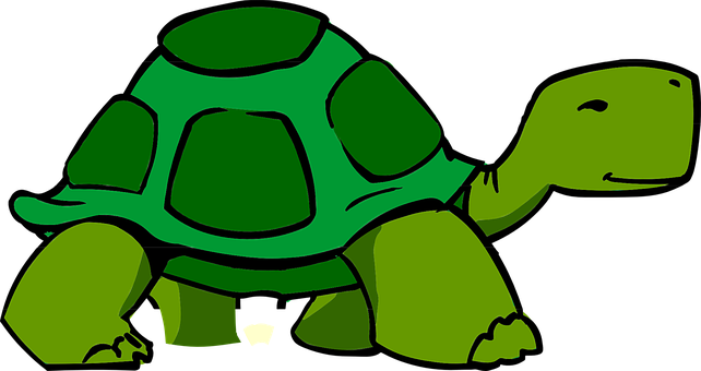 Cartoon Green Turtle Illustration PNG with transparent background