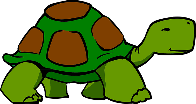 Cartoon Green Turtle Illustration PNG with transparent background