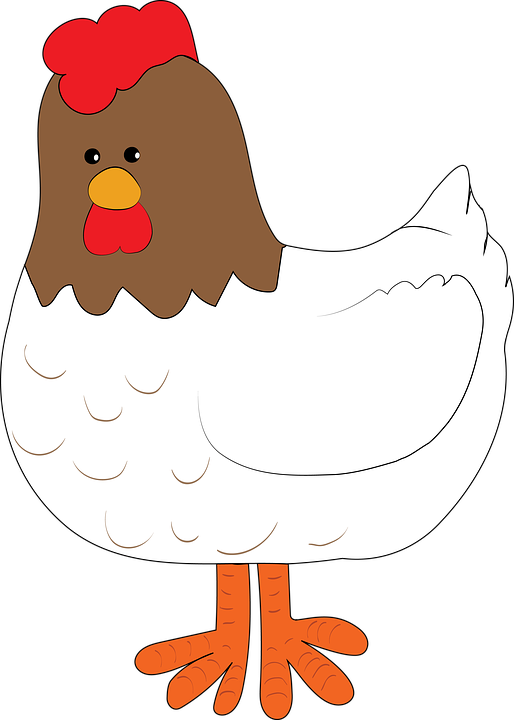 Cartoon_ Hen_ Illustration.png