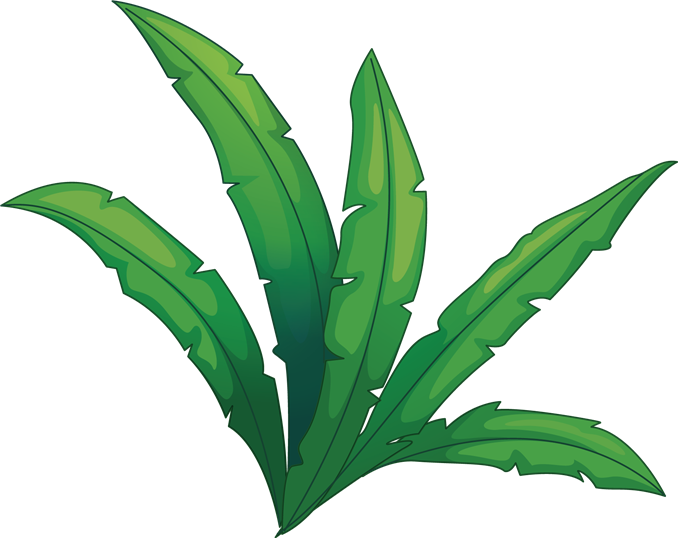 Cartoon Jungle Foliage PNG with transparent background