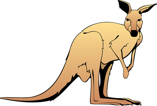 Cartoon Kangaroo Vector PNG with transparent background